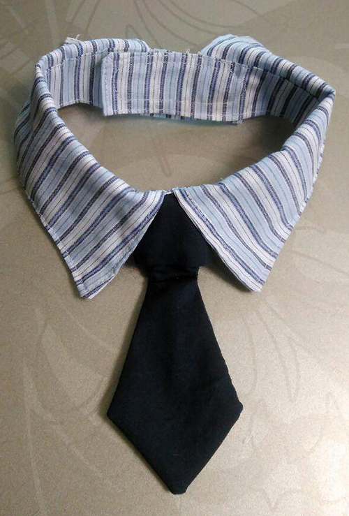dog_necktie1.jpg